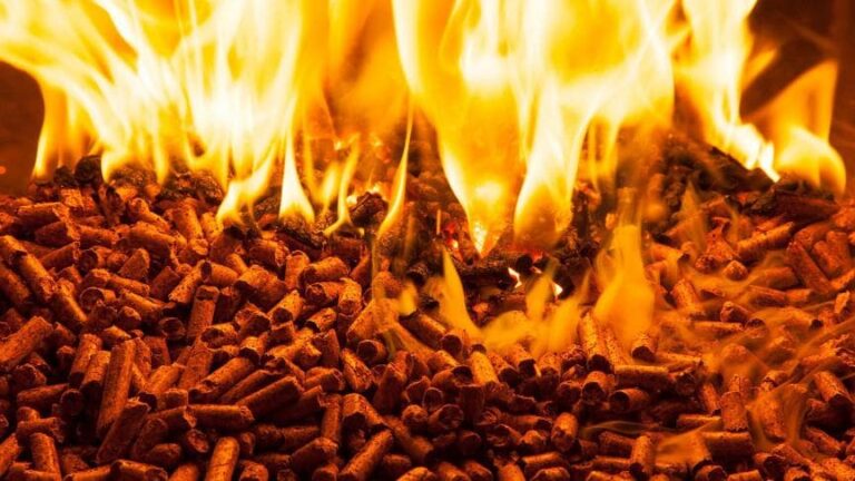 Pellets Namur: Conseils et Fournisseurs de Confiance